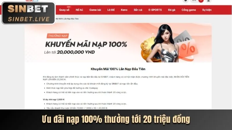 Chương Trình VIP Kubet